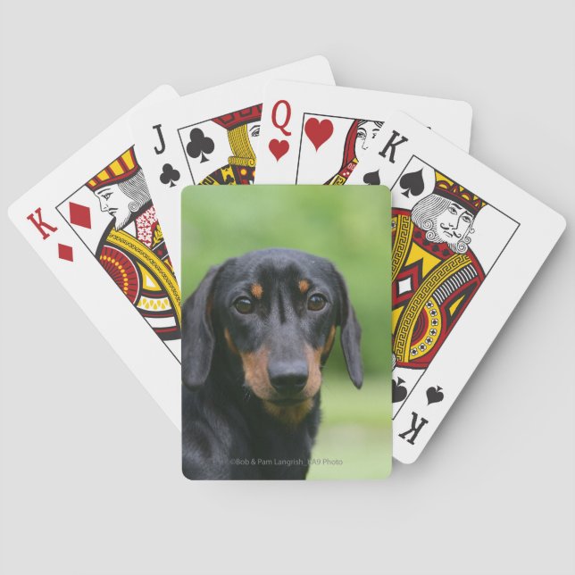 Black and Tan Miniture Dachshund 1 Spielkarten (Rückseite)