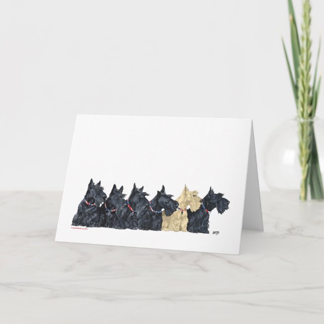 Black and Wheaten Scottish Terriers Karte (Vorderseite)