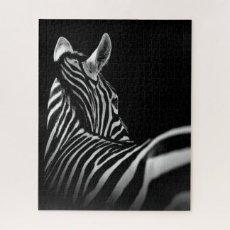 black and whit zebra