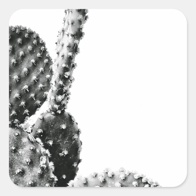 Black and White Cactus Zwart en Wit Quadratischer Aufkleber (Vorderseite)