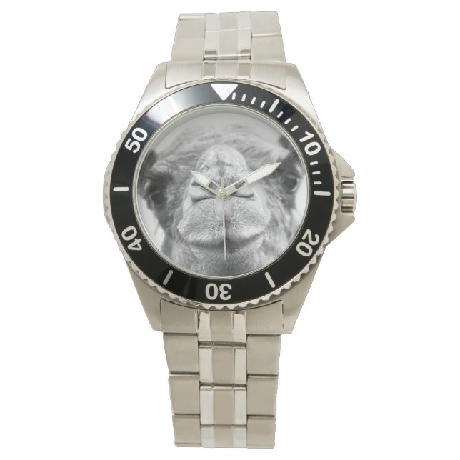 Black and White Camel Kisses Mens Foto Wristwatch Armbanduhr (Vorderseite)