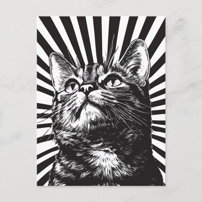 Black and white cat postkarte (Vorderseite)