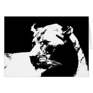 Black and white femelle lion pop art