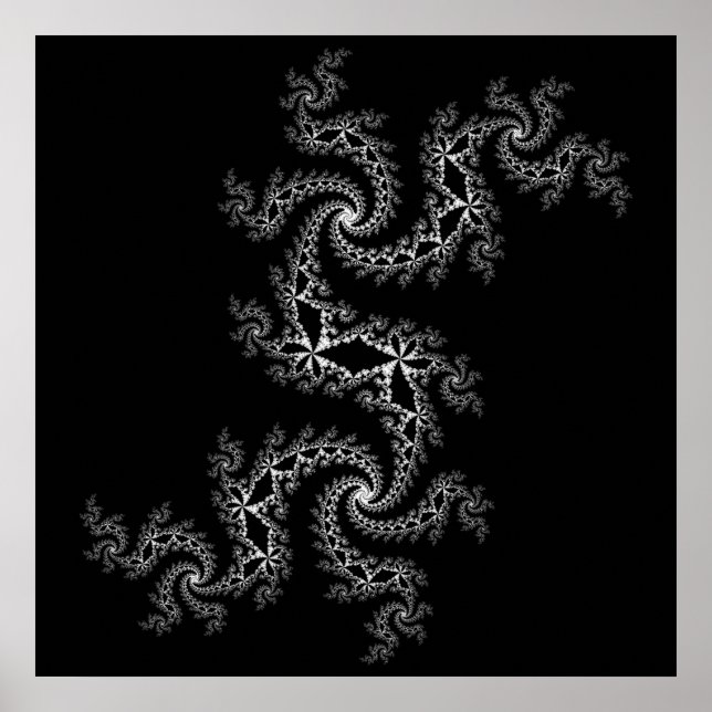 Black and White Julia 300488 Poster (Vorne)