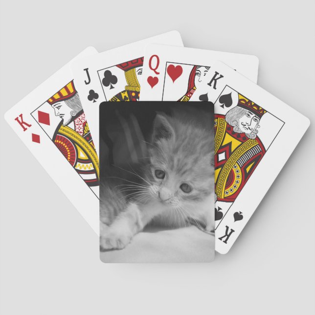 Black and White Kitten Fotograph Spielkarten (Rückseite)