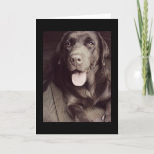 Black And White Labrador Retriever Dog Note Card Karte