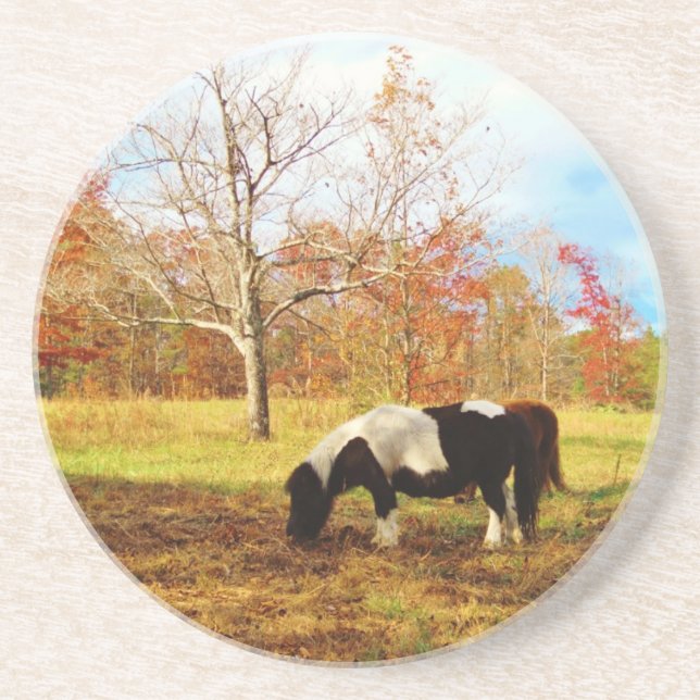 Black and White Miniature Pony / Horse Untersetzer (Vorne)