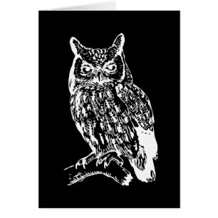 Black and White Owl Art