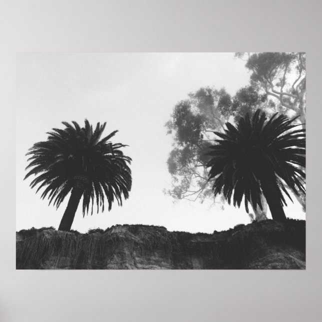Black and White Palm Trees on Cliffside Poster (Vorne)