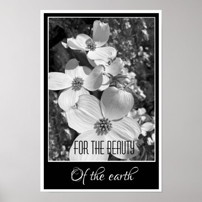 Black and White Reflections For the Beauty Poster (Devant)