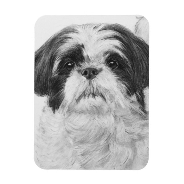 Black and White Shih Tzu Art Magnet (Vertikal)