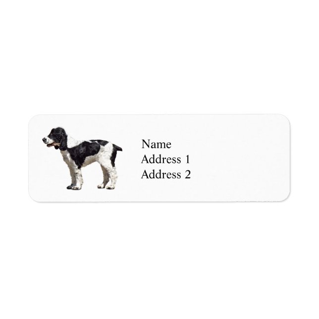 Black and White Spaniel (Vorne)