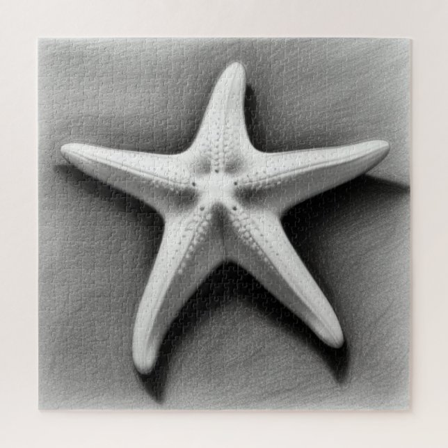 Black and White Starfish (Vertikal)