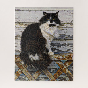 Black and White Stray Cat on Wood Lattice Fence