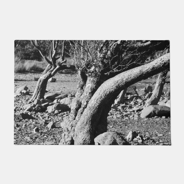 BLACK AND WHITE TREES     FUßMATTE (Vorderseite)