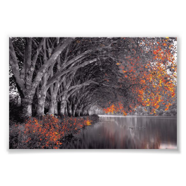 Black and White Trees. Reflection in a lake. Fotodruck (Vorne)