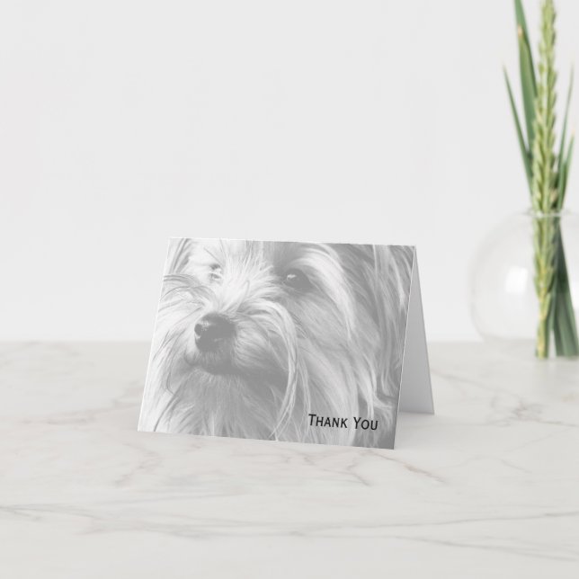 Black and White Yorkshire Terrier Yorkie Dankeskarte (Vorderseite)