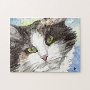 Black and WhiteCalico Cat
