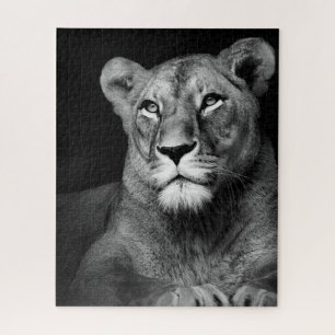 black and whiter Lion