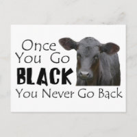 Black Angus Funny Cow Foto
