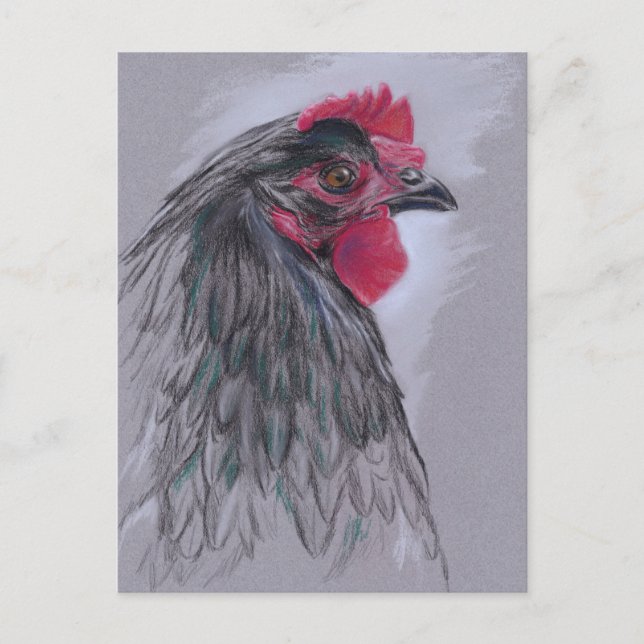 Black Australorp Hen Postkarte (Vorderseite)