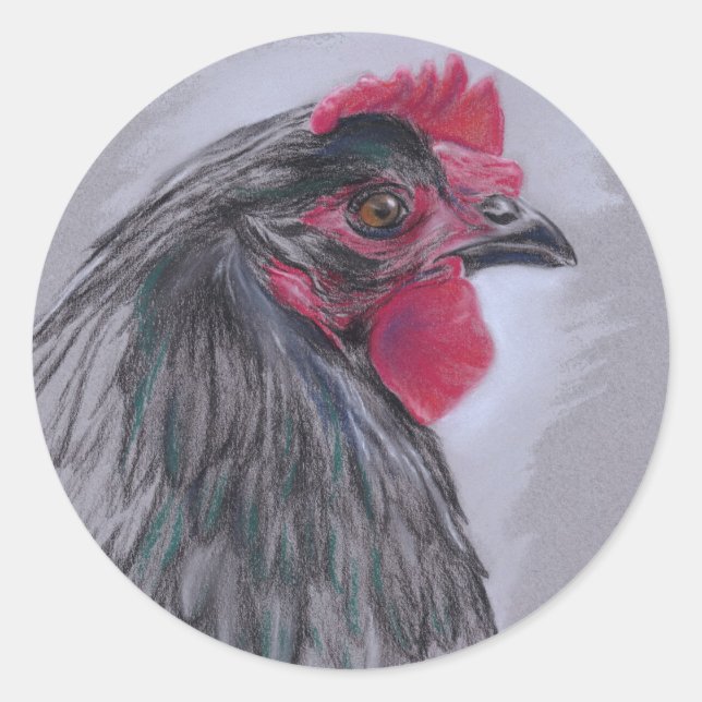 Black Australorp Hen Runder Aufkleber (Vorderseite)