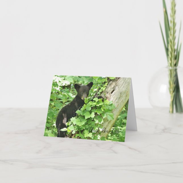 Black Bar Cub Note Card (Vorderseite)