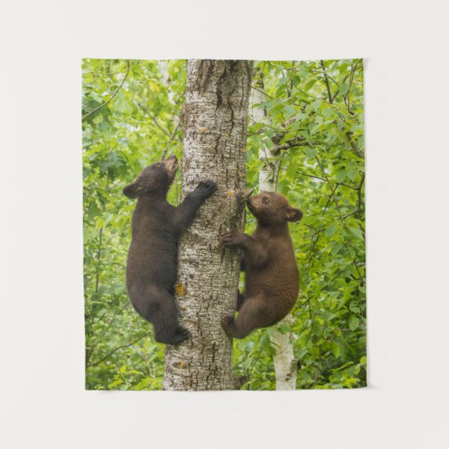 Black Bear Cubs Climbing Tree Wandteppich (Vorderseite)