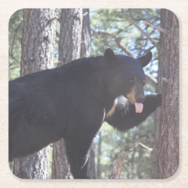 Black Bear Drink Untersetzer