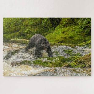 Black Bear Fishing   Qua Creek British Columbia