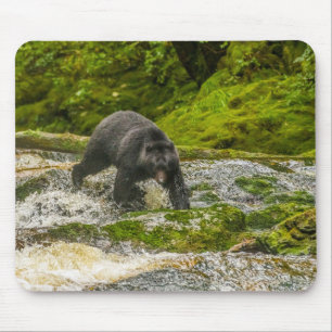 Black Bear Fishing Qua Creek British Columbia Mousepad