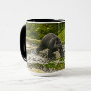 Black Bear Fishing Qua Creek British Columbia Tasse