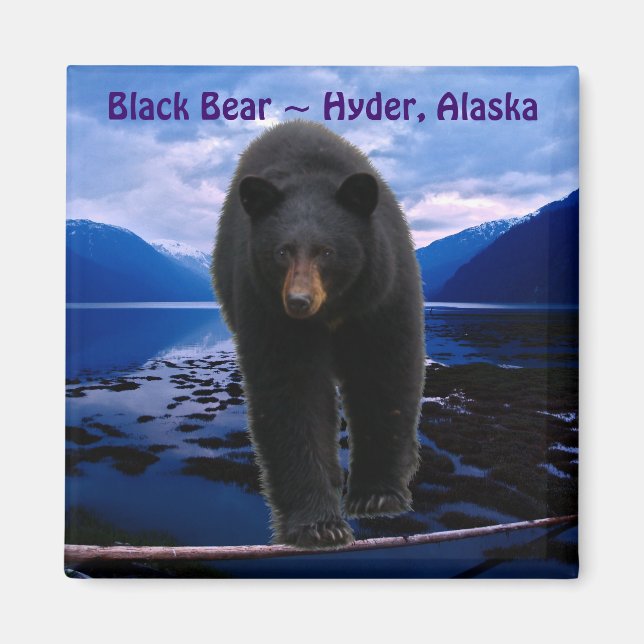 BLACK BEAR Hyder, Alaska Wildlife Magnet (Vorne)