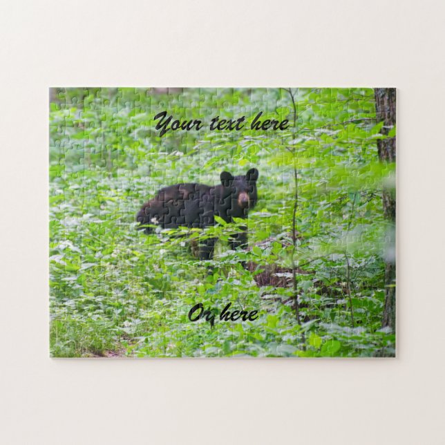 Black Bear in forest (Horizontal)