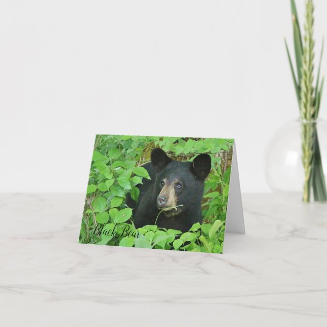 Black Bear Note Card (Vorderseite)