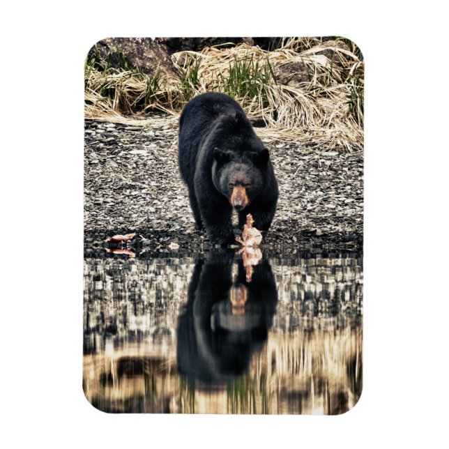 Black Bear Reflections Magnet (Vertikal)