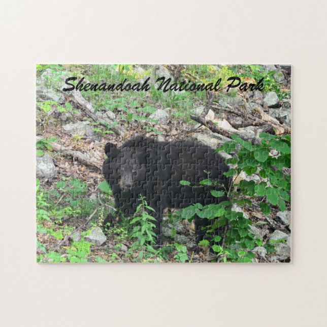Black Bear Shenandoah National Park Virginia (Horizontal)
