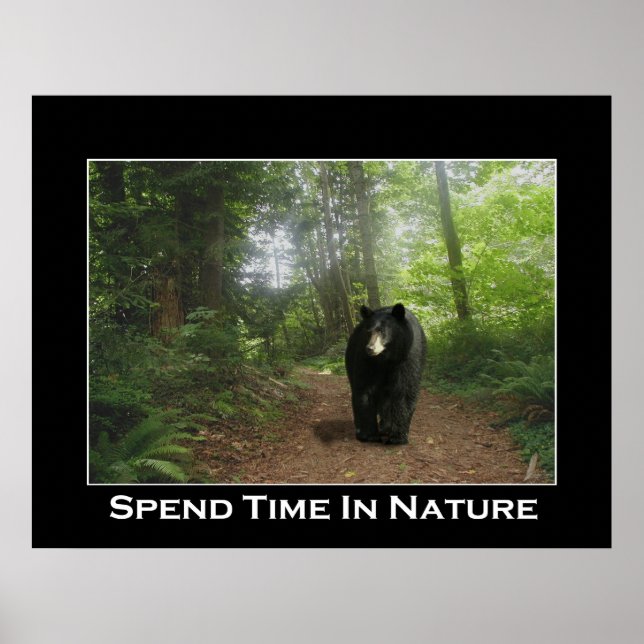 BLACK BEAR TRAIL Motivierend Poster (Vorne)