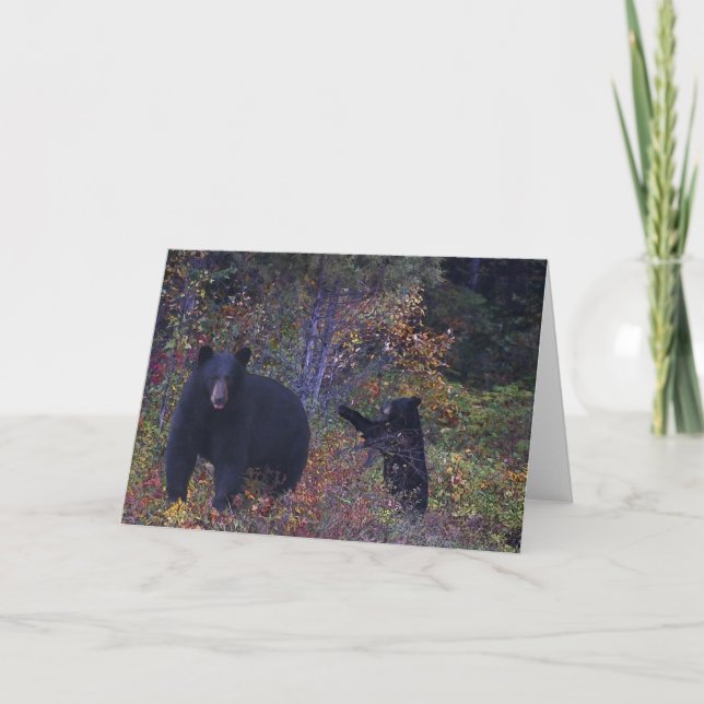 BLACK BEARS Wildlife Grußkarte Karte (Vorderseite)