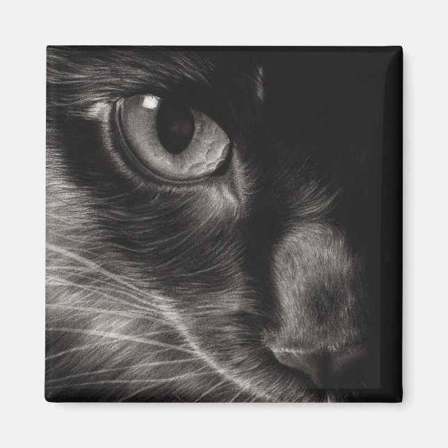 Black Beauty Cat Magnet (Vorne)