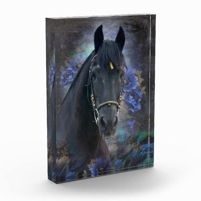 Black Beauty Friesian Horse - Bloc photo (Gauche)