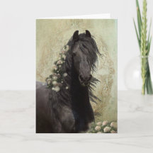 Black Beauty Friesian Horse - Grußkarte