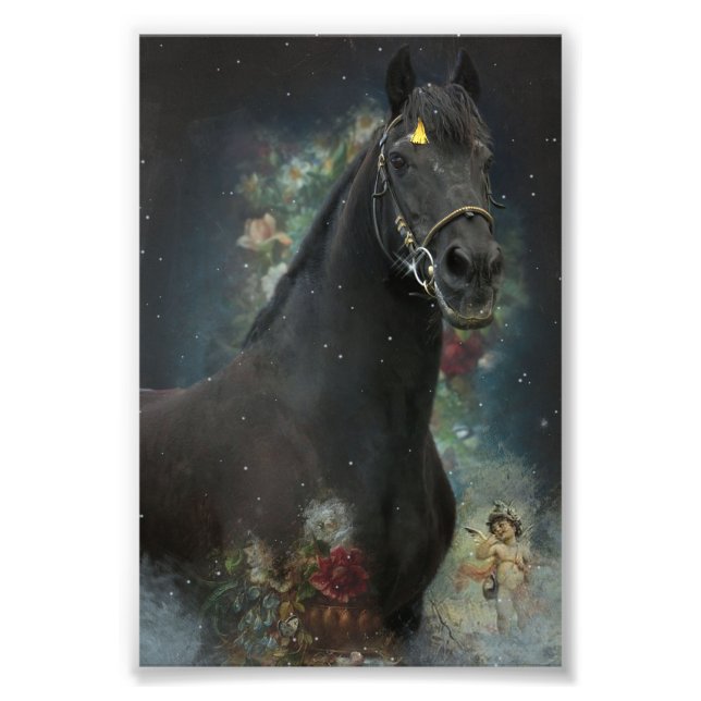 Black Beauty Friesian Horse - Poster (Vorne)