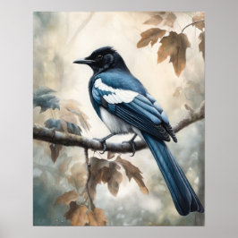 Black Billard Magpie Bird Art Print Poster