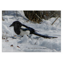 Black Billed Rocky Mountain Magpie Schneidebrett