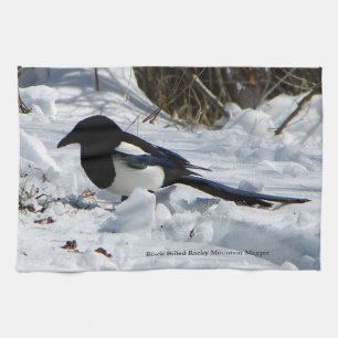 Black Billed Rocky Mountain Magpie serviette de cu