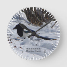 Black Billed Rocky Mountain Magpie Uhr