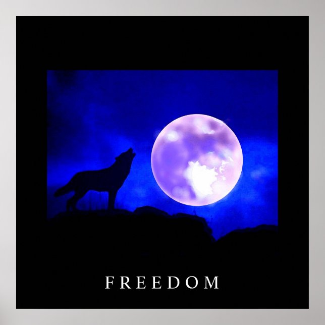 Black Blue Motivational Freedom Poster (Devant)