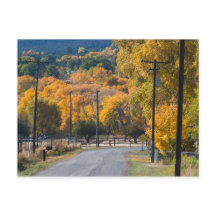 Black Bridge Road