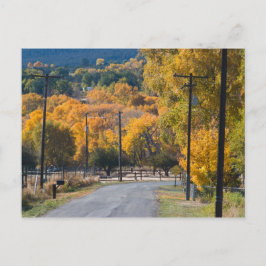 Black Bridge Road Postkarte